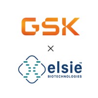 Elsie Biotechnologies